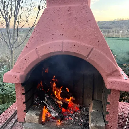 Yildiz Sifa Citlik Evi *