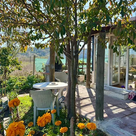 Dom wakacyjny Yildiz Sifa Citlik Evi *